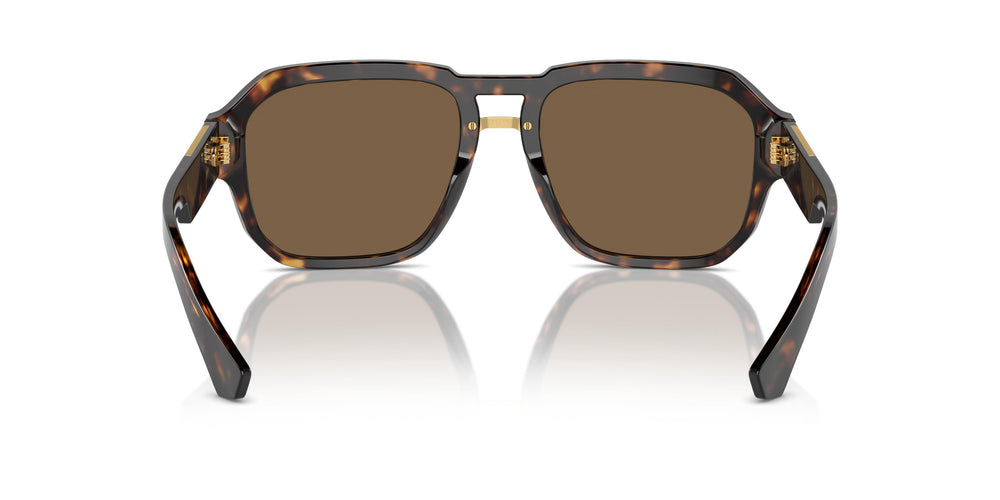 Dolce & Gabbana DG4464 502/73 56