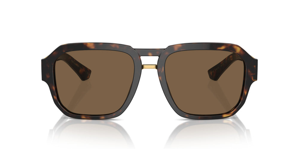 Dolce & Gabbana DG4464 502/73 56