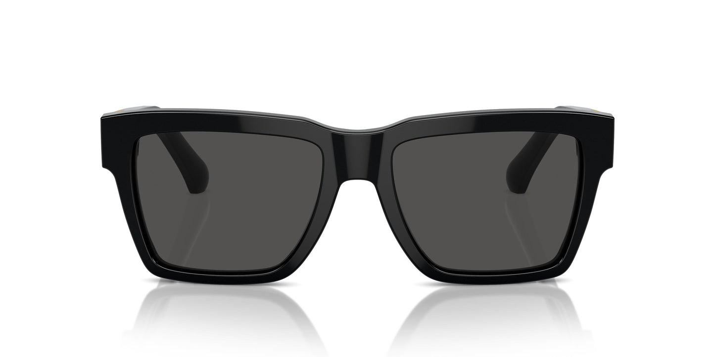 Dolce & Gabbana DG4465 501/87 55