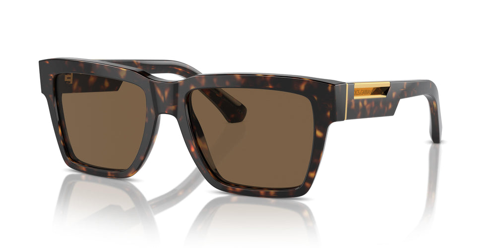 Dolce &amp; Gabbana DG4465 502/73 55