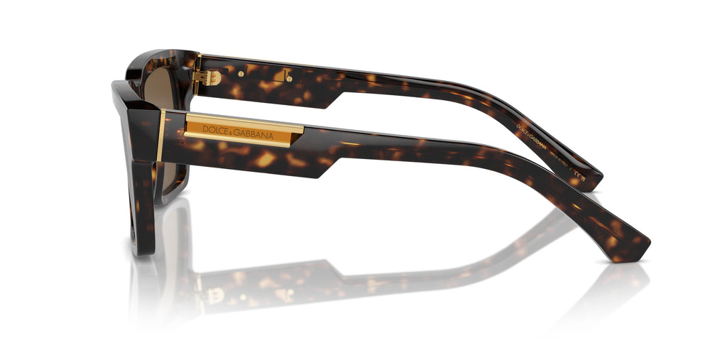 Dolce & Gabbana DG4465 502/73 55