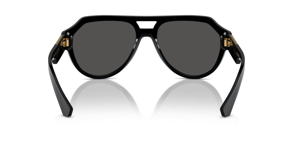 Dolce & Gabbana DG4466 501/87 56