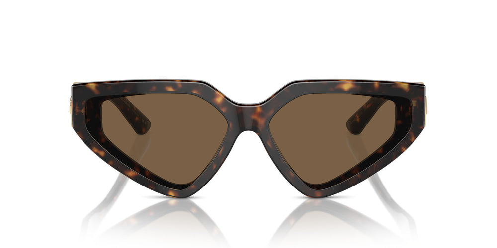 Dolce & Gabbana DG4469 502/73 59