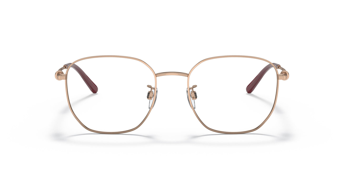 Emporio Armani EA1134D 3011 53