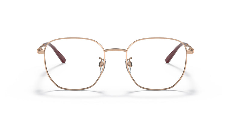 Emporio Armani EA1134D 3011 53