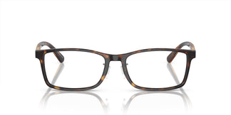 Emporio Armani EA3145D 5026 55