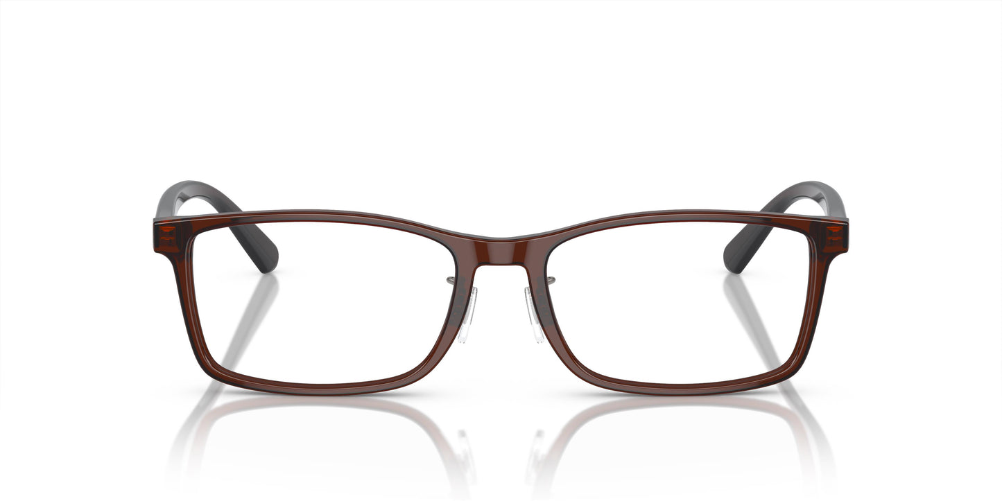 Emporio Armani EA3145D 5374 55