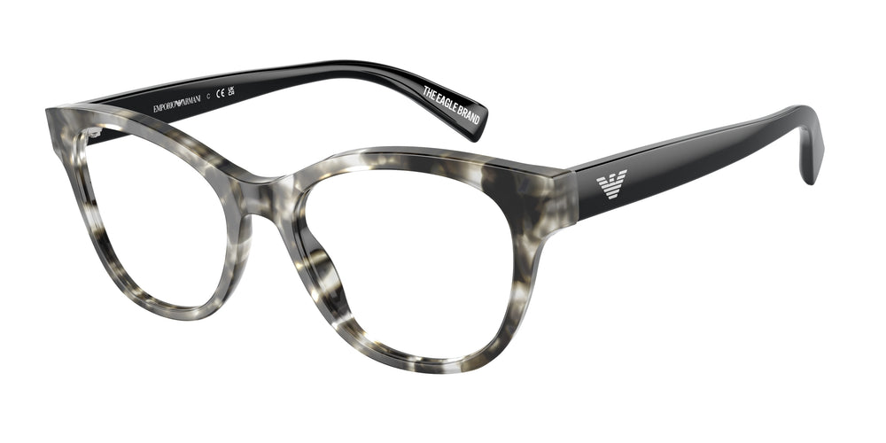 Emporio Armani EA3162 5193 52