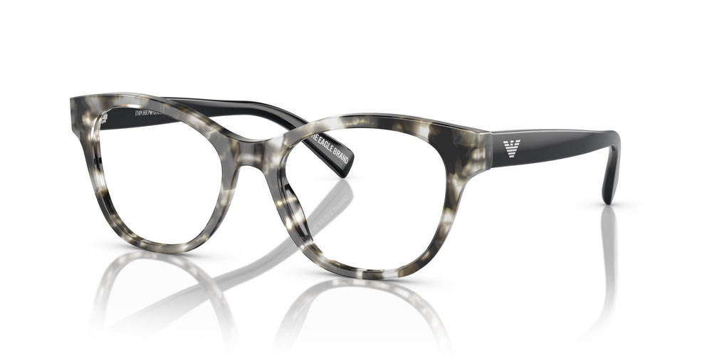 Emporio Armani EA3162 5193 52