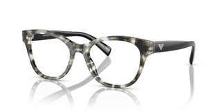 Emporio Armani EA3162 5193 52
