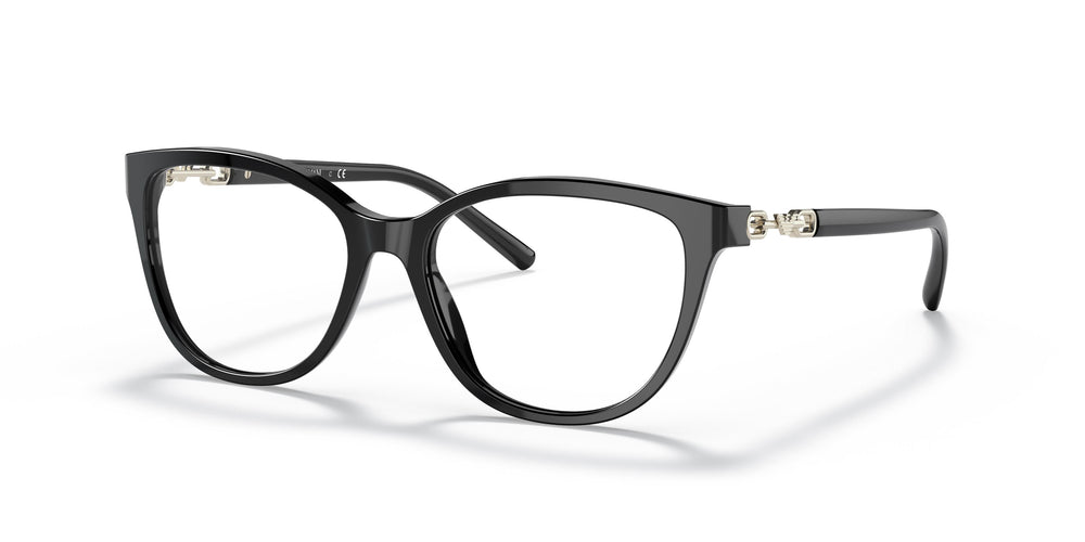 Emporio Armani EA3190 5001 53