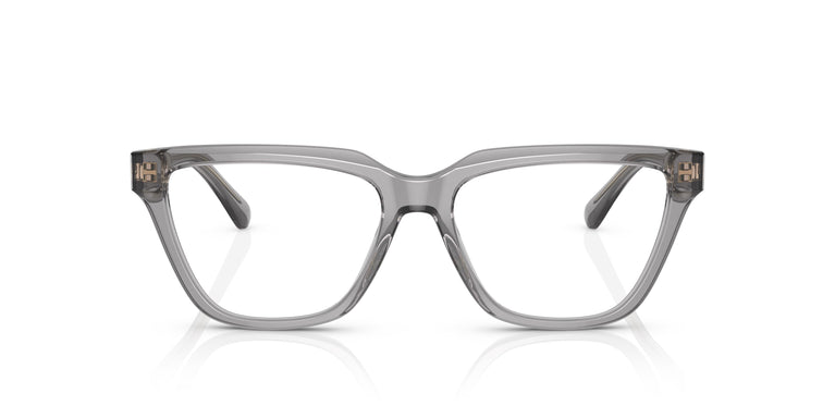 Emporio Armani EA3208 5029 54