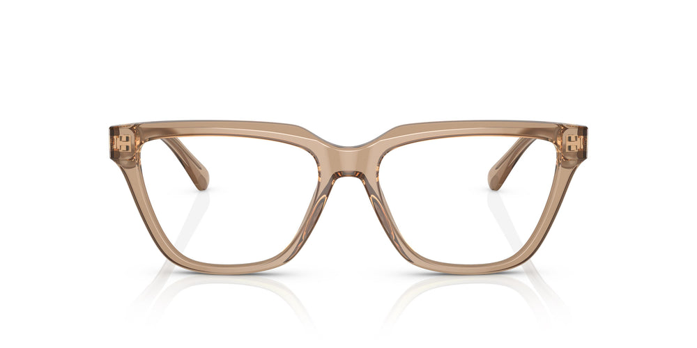 Emporio Armani EA3208 5069 52