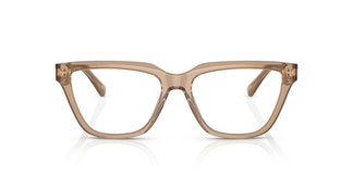 Emporio Armani EA3208 5069 52