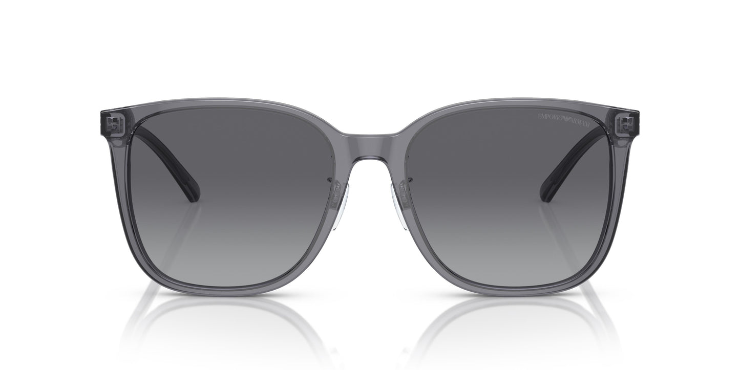 Emporio Armani EA4206D 5029T3 57