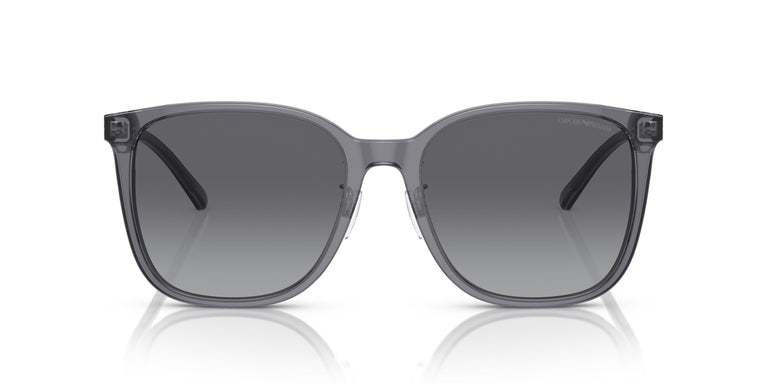 Emporio Armani EA4206D 5029T3 57