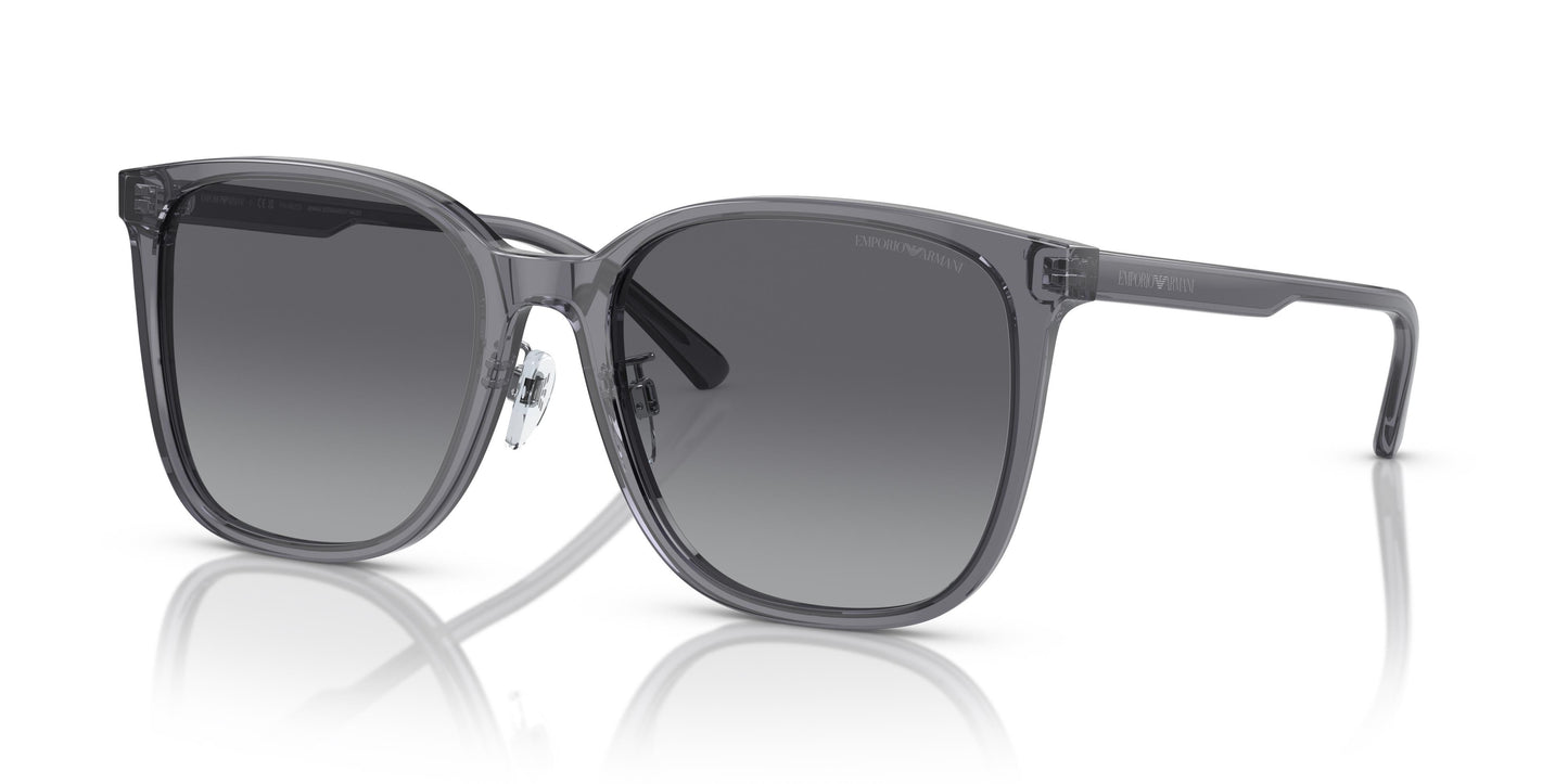 Emporio Armani EA4206D 5029T3 57