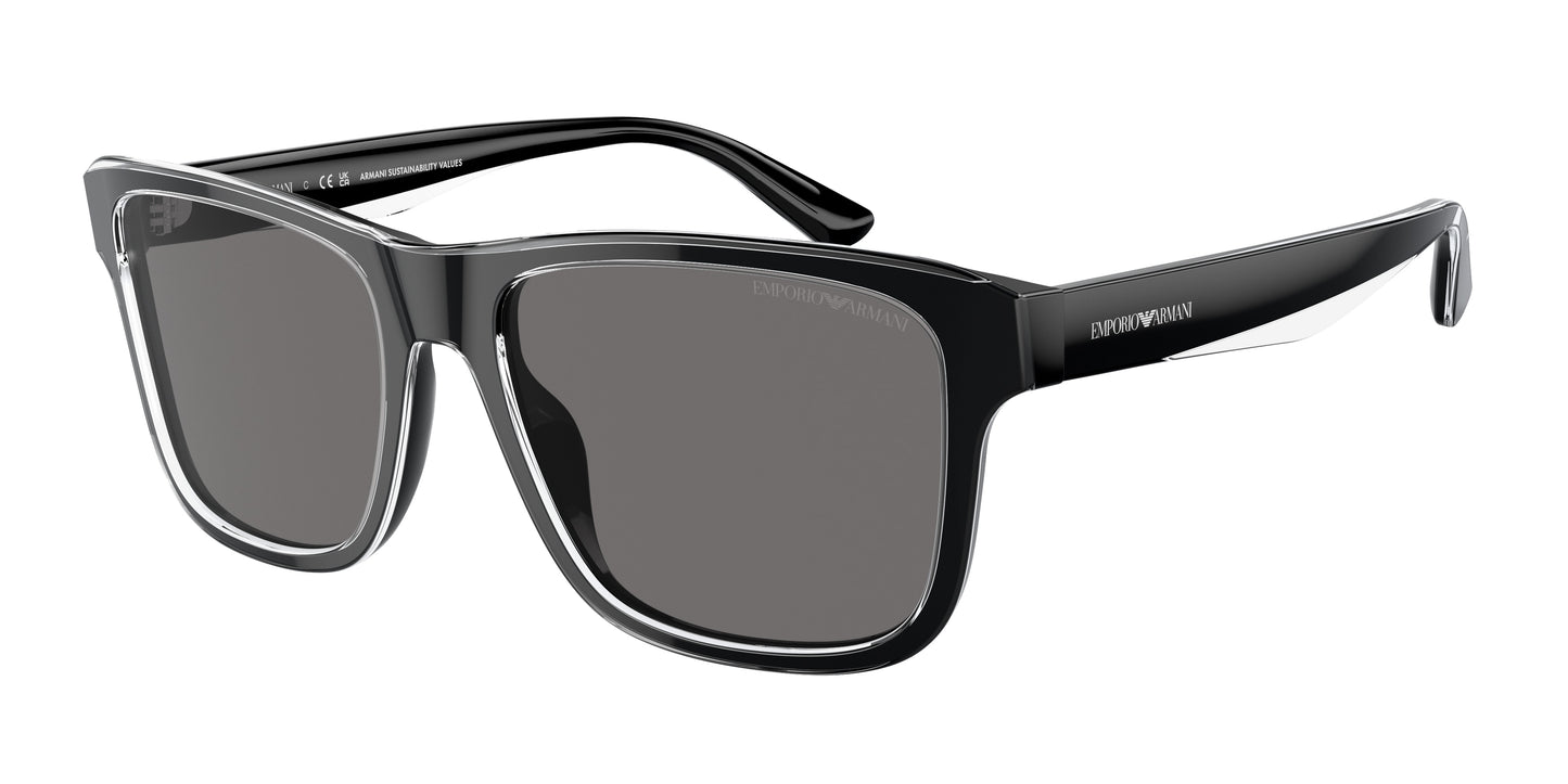 Emporio Armani EA4208 605187 56