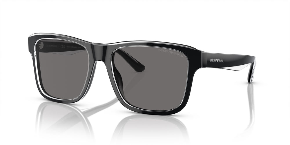 Emporio Armani EA4208 605187 56