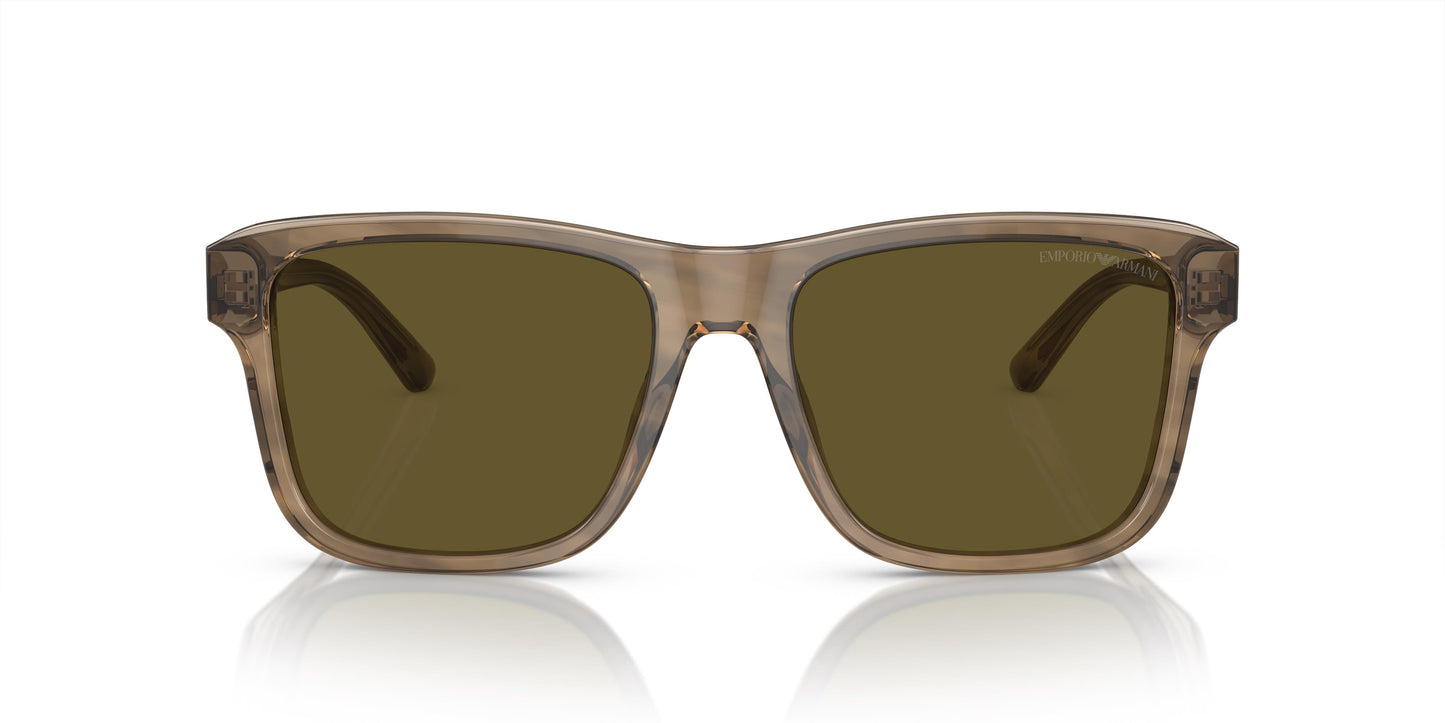 Emporio Armani EA4208 605573 56