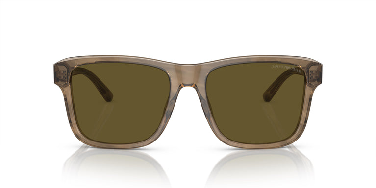 Emporio Armani EA4208 605573 56