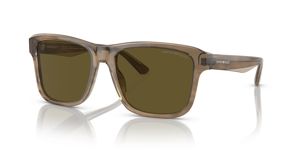 Emporio Armani EA4208 605573 56