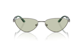 Emporio Armani EA2153  3010/2 56