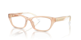 Emporio Armani EA3238U  6098 52