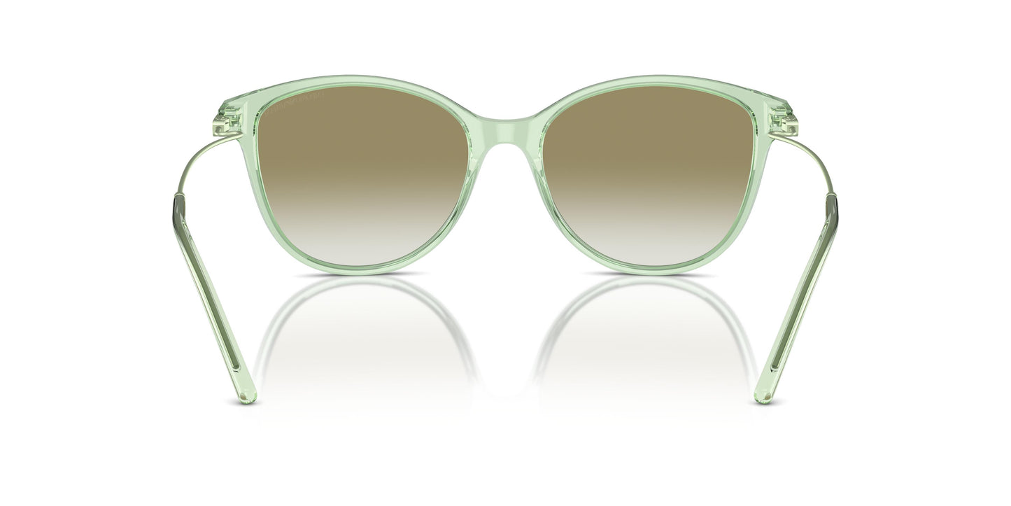 Emporio Armani EA4220  61078E 54