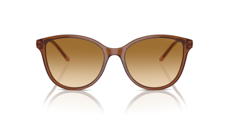 Emporio Armani EA4220 61103B 54