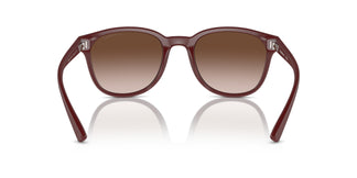 Emporio Armani EA4225U  610113 53