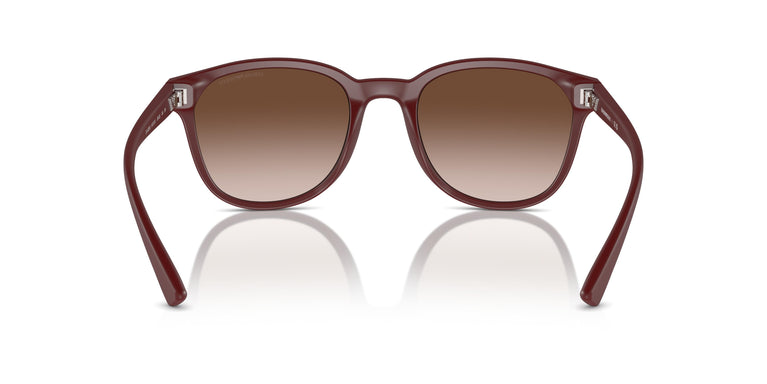 Emporio Armani EA4225U  610113 53