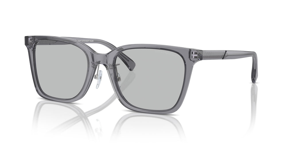 Emporio Armani EA4226D  502987 55