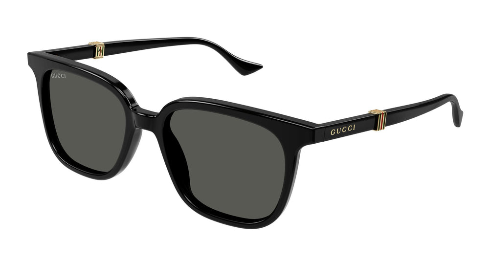 Gucci GG1493S 001 54