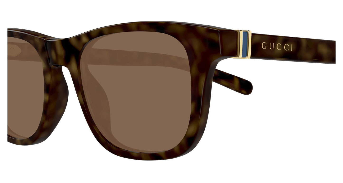 Gucci GG1671S 006 53