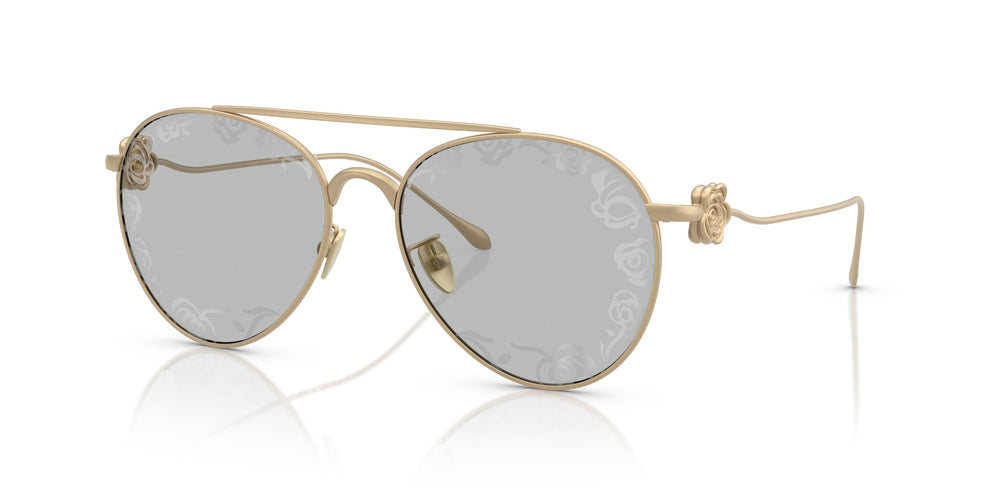 Giorgio Armani AR6167  3002AL 57