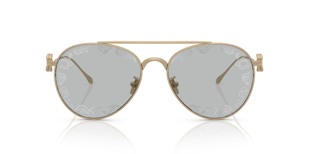 Giorgio Armani AR6167  3002AL 57