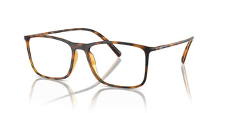 Giorgio Armani AR7244U  5026 55