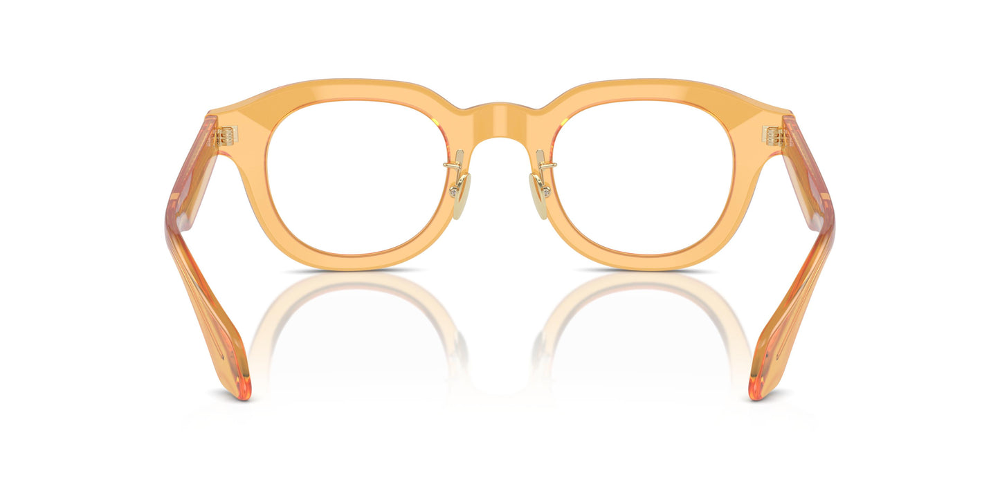 Giorgio Armani AR7253  6063 45