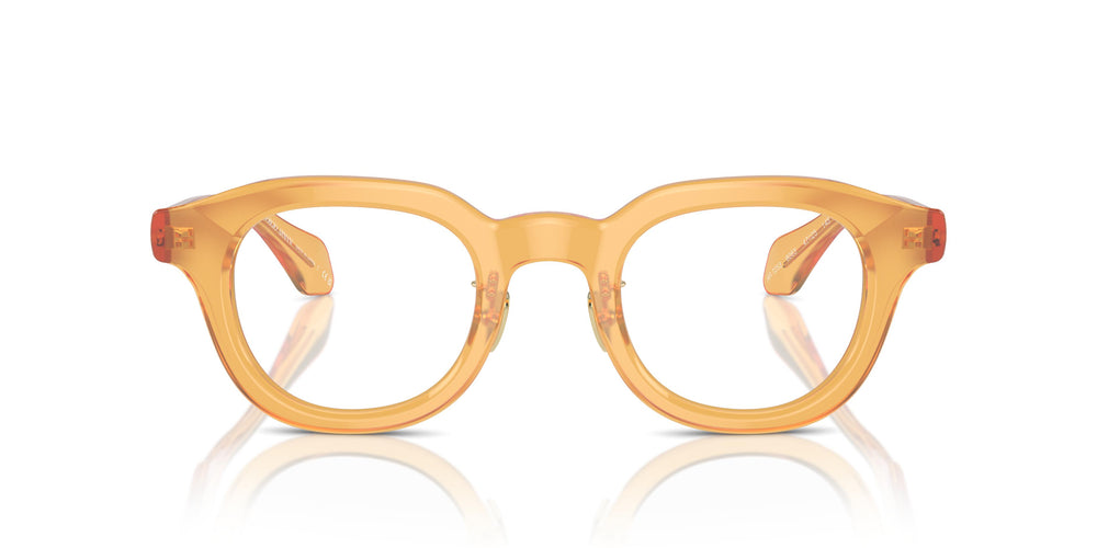 Giorgio Armani AR7253  6063 45