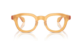 Giorgio Armani AR7253  6063 47
