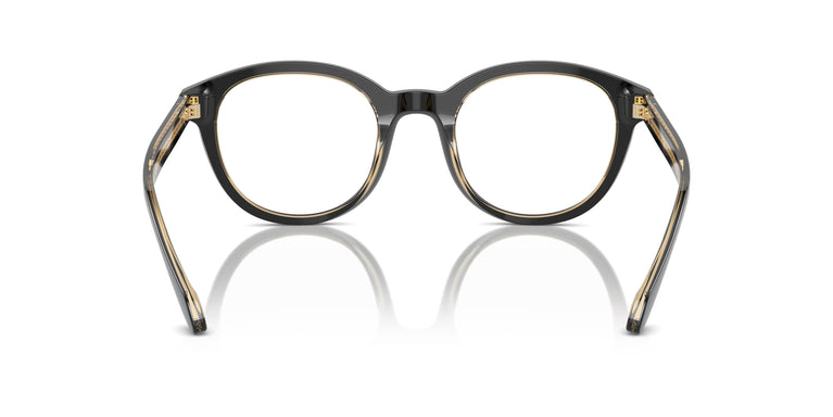 Giorgio Armani AR7256  6084 48