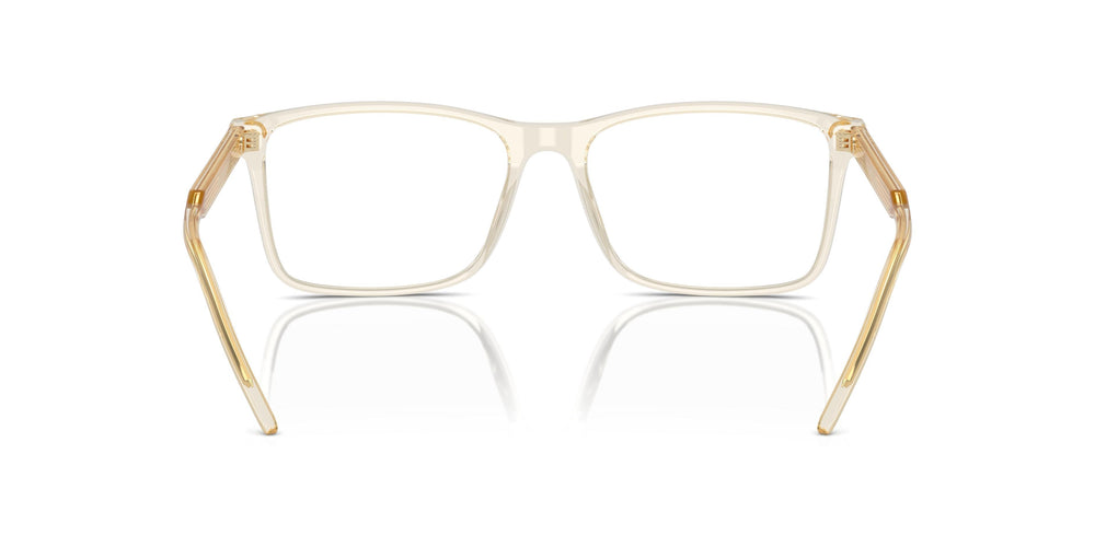 Giorgio Armani AR7258  6077 55