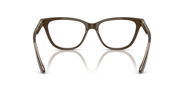 Giorgio Armani AR7263  5957 51