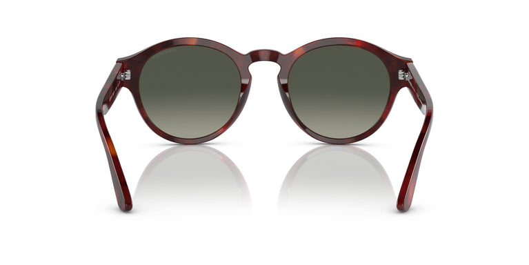Giorgio Armani AR8146  596271 50