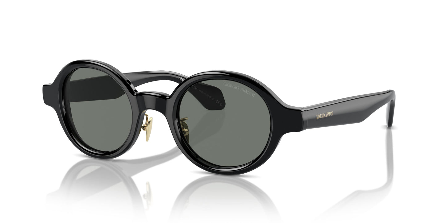 Giorgio Armani AR8205  6060/1 46