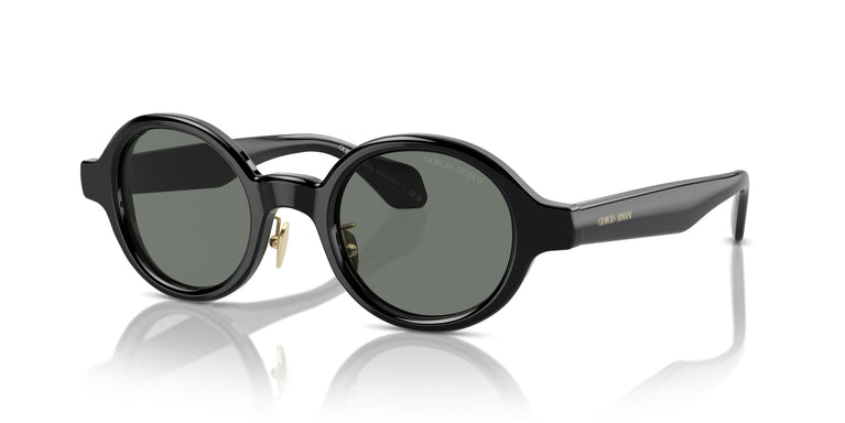 Giorgio Armani AR8205  6060/1 46