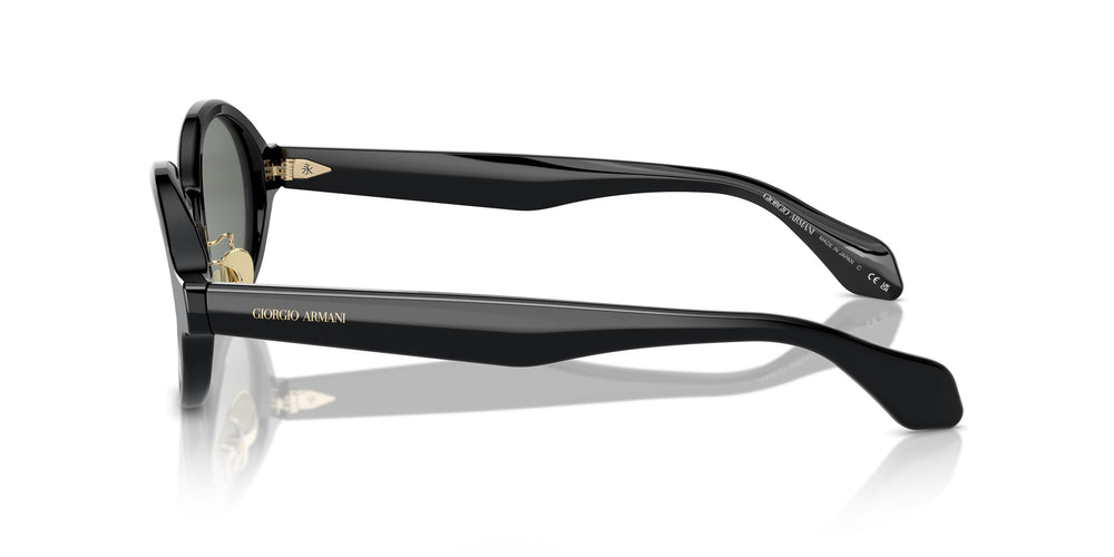 Giorgio Armani AR8205 6060/1 46