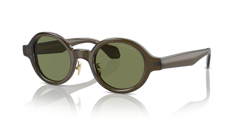 Giorgio Armani AR8205  60612A 46
