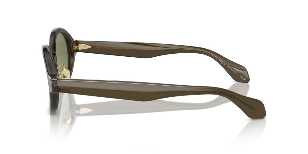 Giorgio Armani AR8205 60612A 46